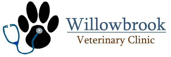 Willow Brook Veterinary Clinic